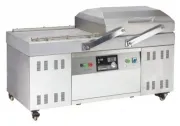Вакуумный упаковщик CVP-500-2SB-G
